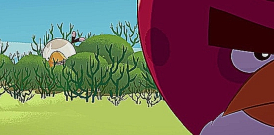 Злые птички мульт / Angry Birds Toons  -  13 серия 