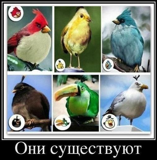 Дабстеп