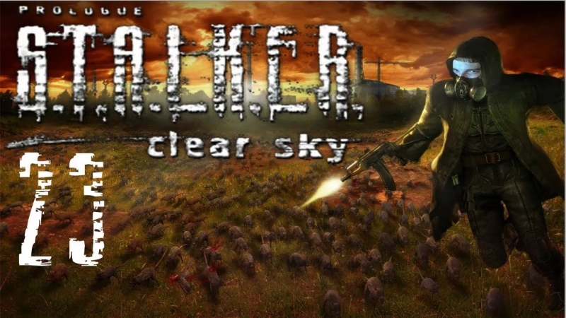 07