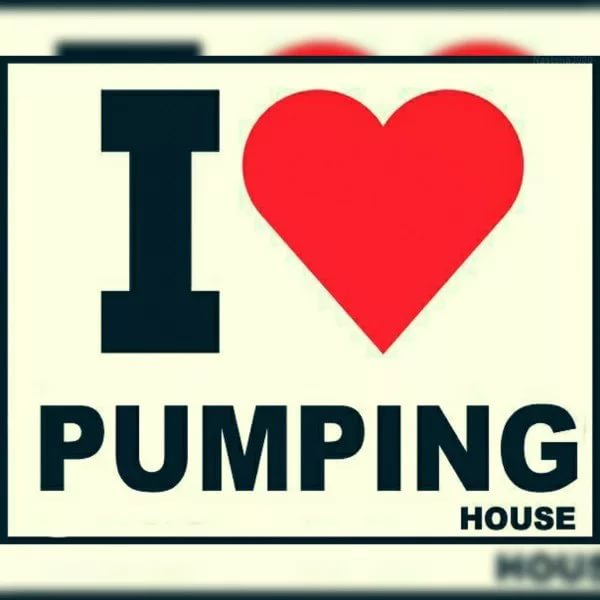 .ılııllı.PUMPING HOUSE.ılııllı. Silent Hunter