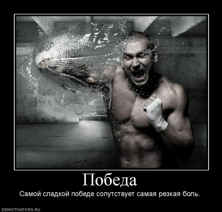 Satsura_ST1M_shadow_epic_1 - бой с тенью