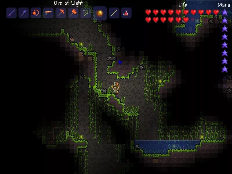Terraria Developers - Jungle